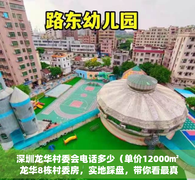 深圳龙华村委会电话多少（单价12000㎡ 龙华8栋村委房，实地踩盘，带你看最真实的村委房！）