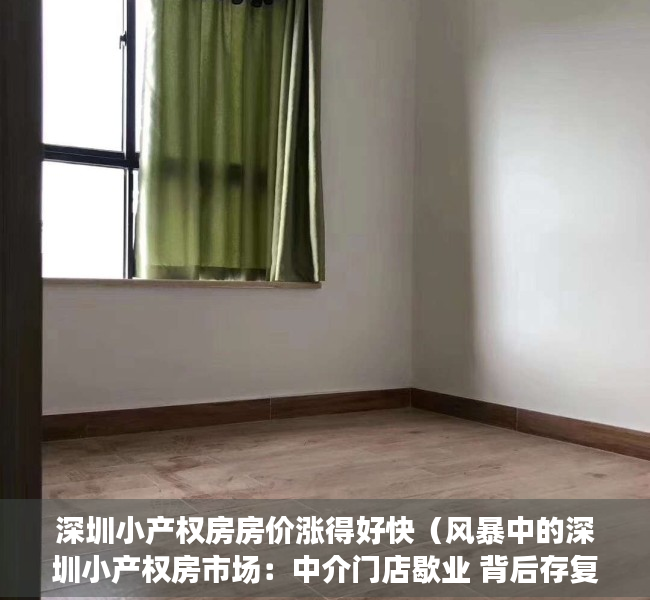 深圳小产权房房价涨得好快（风暴中的深圳小产权房市场：中介门店歇业 背后存复杂利益链）