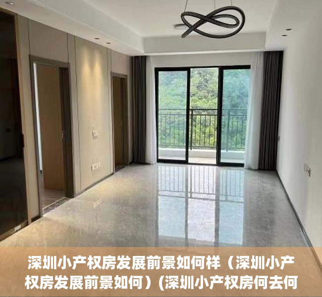 深圳小产权房发展前景如何样（深圳小产权房发展前景如何）(深圳小产权房何去何从)