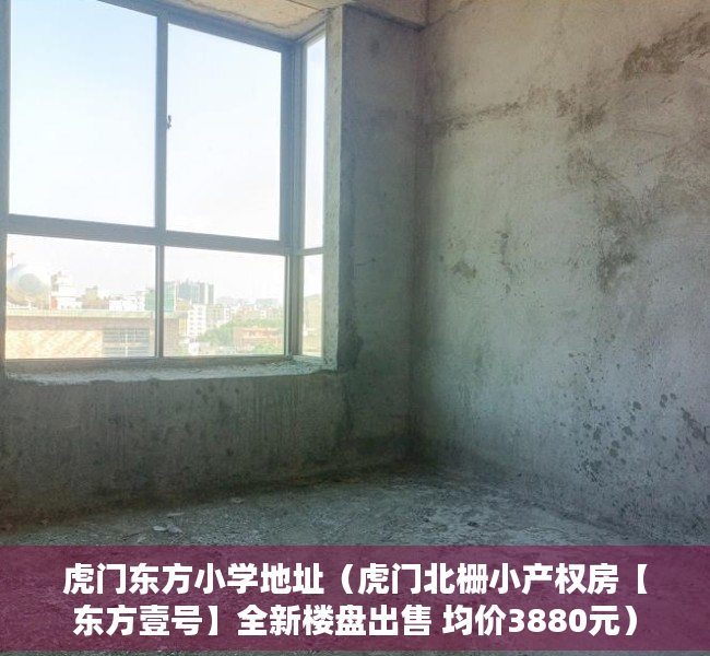 虎门东方小学地址（虎门北栅小产权房【东方壹号】全新楼盘出售 均价3880元）