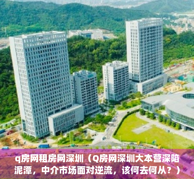 q房网租房网深圳（Q房网深圳大本营深陷泥潭，中介市场面对逆流，该何去何从？）