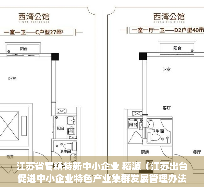 江苏省专精特新中小企业 稻源（江苏出台促进中小企业特色产业集群发展管理办法 企业如何申报？）