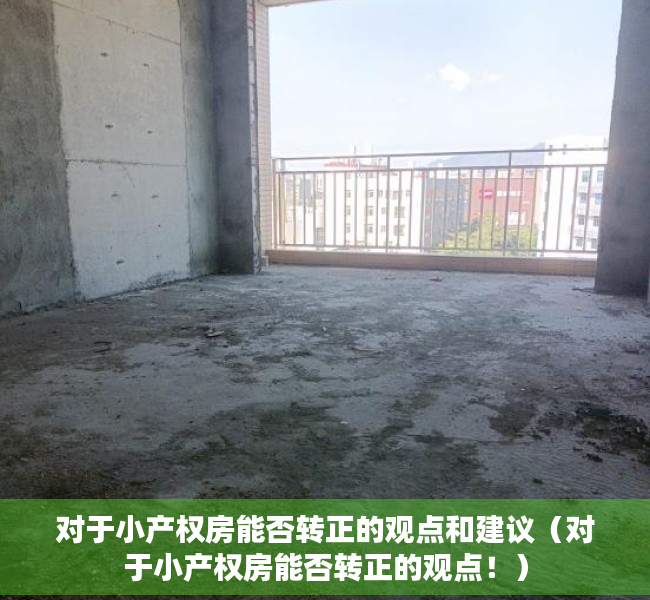 对于小产权房能否转正的观点和建议（对于小产权房能否转正的观点！）