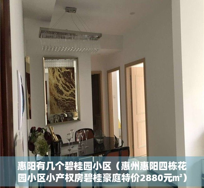 惠阳有几个碧桂园小区（惠州惠阳四栋花园小区小产权房碧桂豪庭特价2880元㎡）