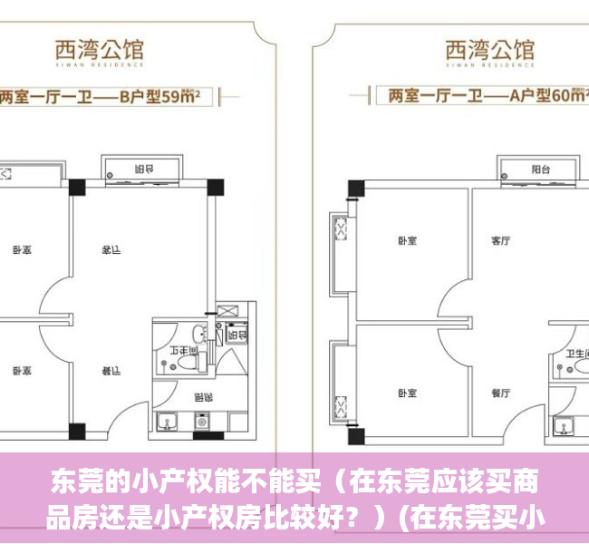 东莞的小产权能不能买（在东莞应该买商品房还是小产权房比较好？）(在东莞买小产权房风险大吗?)