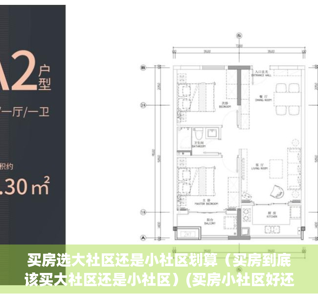 买房选大社区还是小社区划算（买房到底该买大社区还是小社区）(买房小社区好还是大社区好)