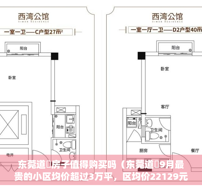 东莞道滘房子值得购买吗（东莞道滘9月最贵的小区均价超过3万平，区均价22129元平）