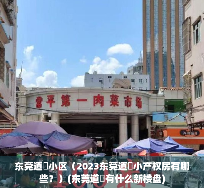 东莞道滘小区（2023东莞道滘小产权房有哪些？）(东莞道滘有什么新楼盘)