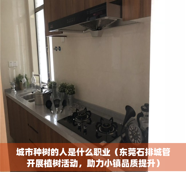 城市种树的人是什么职业（东莞石排城管开展植树活动，助力小镇品质提升）