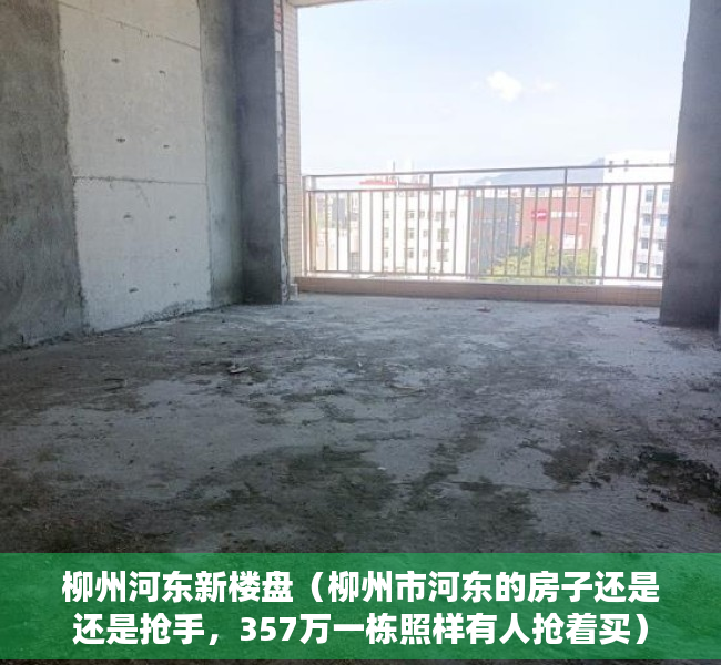 柳州河东新楼盘（柳州市河东的房子还是还是抢手，357万一栋照样有人抢着买）