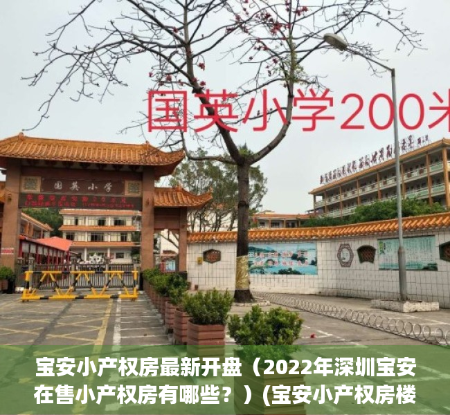 宝安小产权房最新开盘（2022年深圳宝安在售小产权房有哪些？）(宝安小产权房楼盘名单)