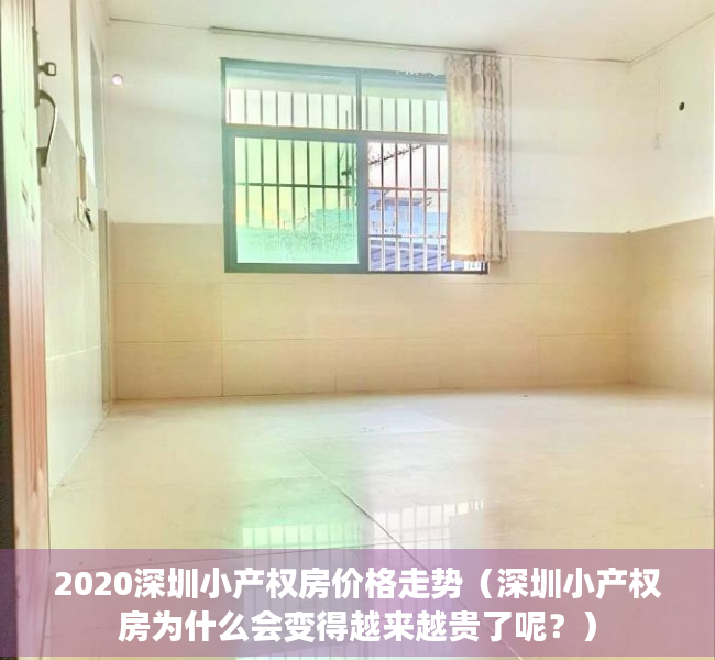 2020深圳小产权房价格走势（深圳小产权房为什么会变得越来越贵了呢？）