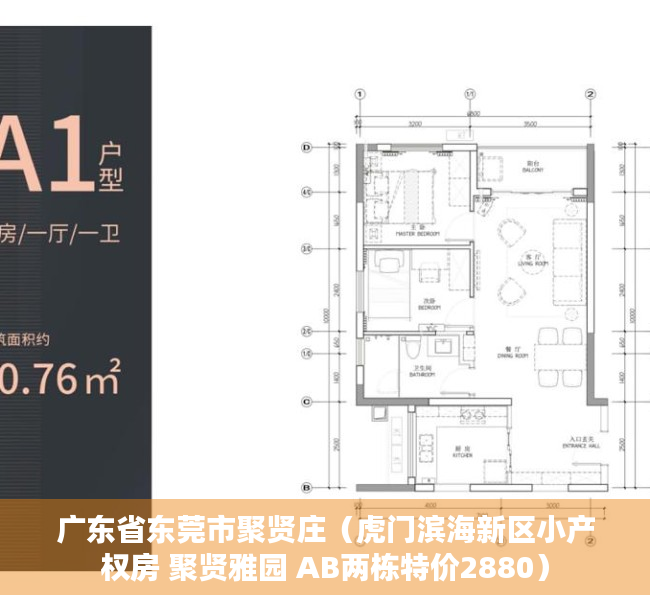 广东省东莞市聚贤庄（虎门滨海新区小产权房 聚贤雅园 AB两栋特价2880）