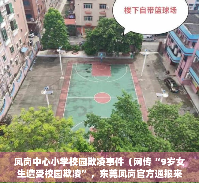 凤岗中心小学校园欺凌事件（网传“9岁女生遭受校园欺凌”，东莞凤岗官方通报来了）