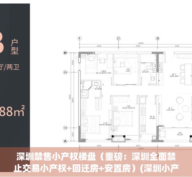 深圳禁售小产权楼盘（重磅：深圳全面禁止交易小产权+回迁房+安置房）(深圳小产权房禁止交易哪里出台的)