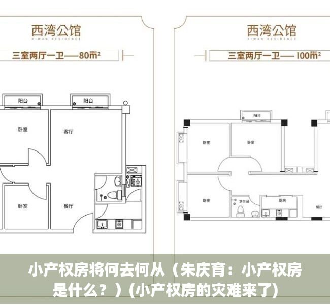 小产权房将何去何从（朱庆育：小产权房是什么？）(小产权房的灾难来了)