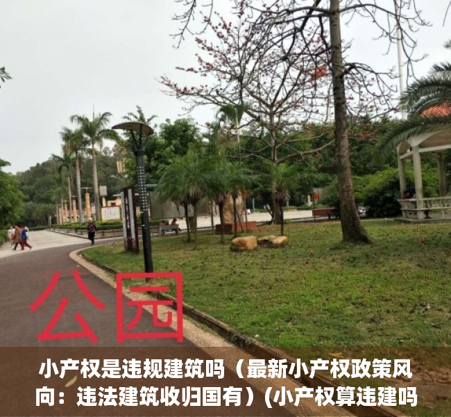 小产权是违规建筑吗（最新小产权政策风向：违法建筑收归国有）(小产权算违建吗)