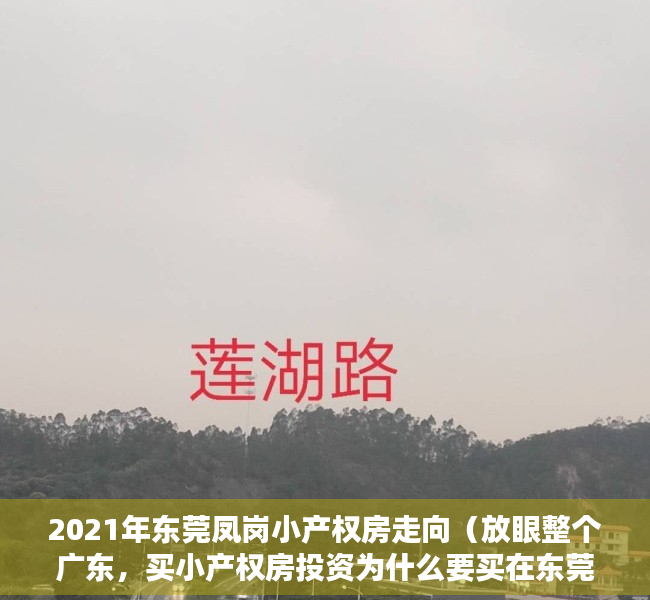 2021年东莞凤岗小产权房走向（放眼整个广东，买小产权房投资为什么要买在东莞凤岗镇呢？）