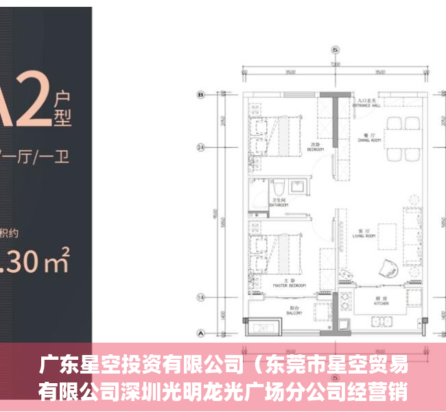 广东星空投资有限公司（东莞市星空贸易有限公司深圳光明龙光广场分公司经营销售不合格(积木)案）