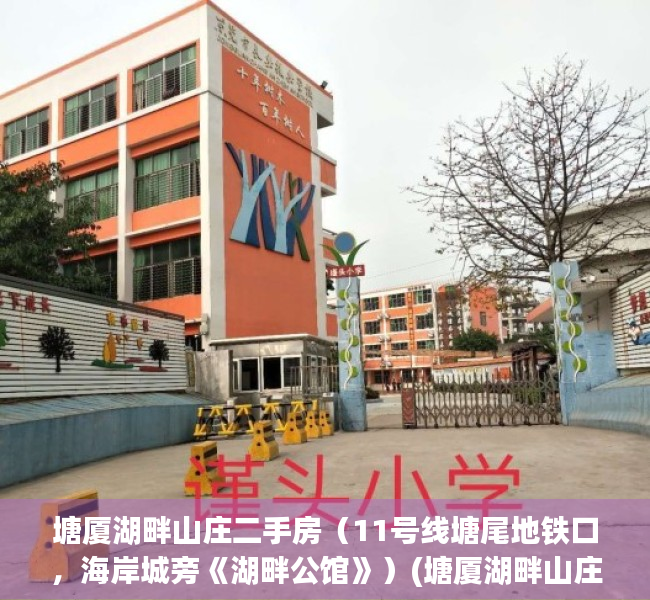 塘厦湖畔山庄二手房（11号线塘尾地铁口，海岸城旁《湖畔公馆》）(塘厦湖畔山庄是不是商品房)