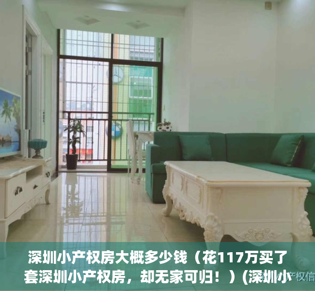 深圳小产权房大概多少钱（花117万买了套深圳小产权房，却无家可归！）(深圳小产权房现在基本卖多少钱一平)