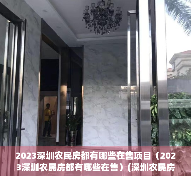 2023深圳农民房都有哪些在售项目（2023深圳农民房都有哪些在售）(深圳农民房房源)