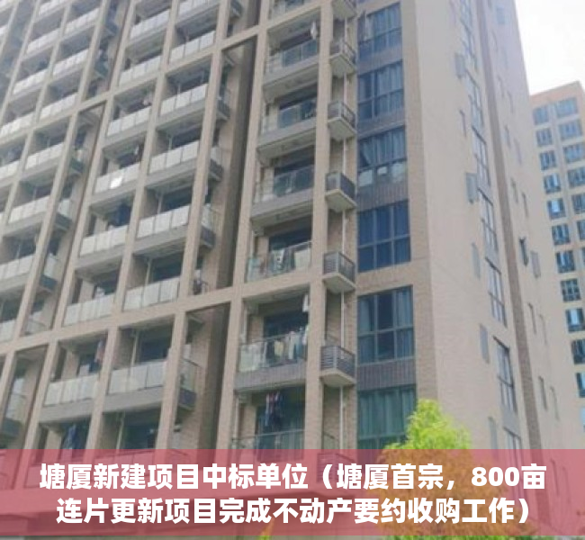 塘厦新建项目中标单位（塘厦首宗，800亩连片更新项目完成不动产要约收购工作）